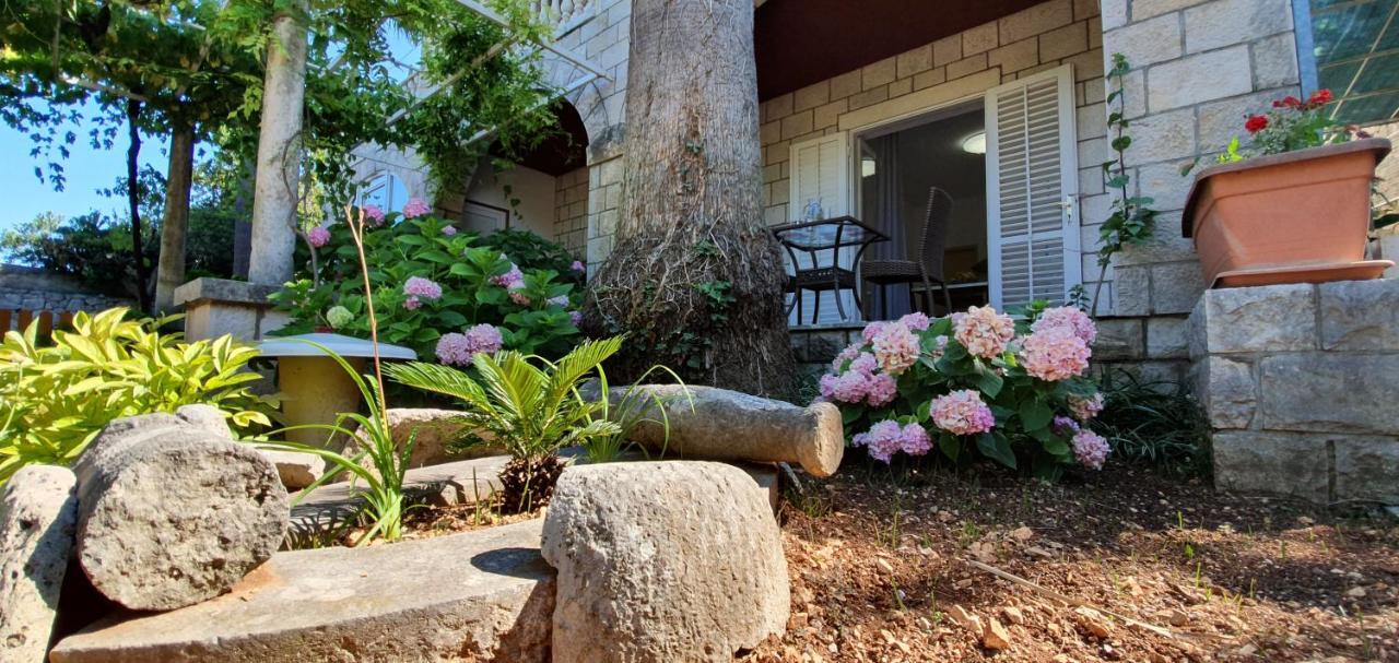 Two Palms Villa زاتون المظهر الخارجي الصورة