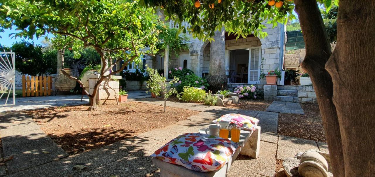 Two Palms Villa زاتون المظهر الخارجي الصورة